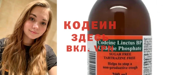 крисы Богородицк