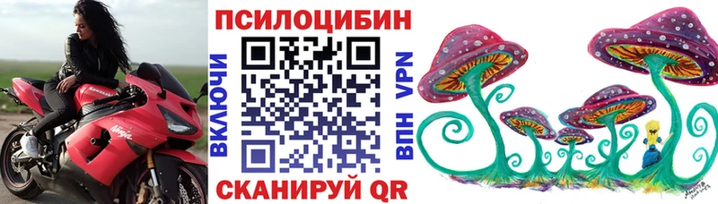 где купить наркоту  Видное  Галлюциногенные грибы мухоморы 